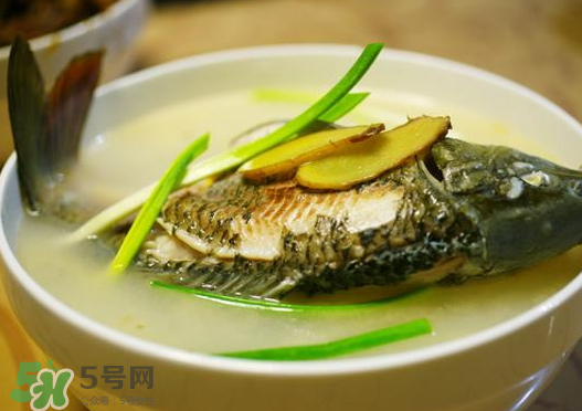 鯉魚湯怎么做好吃？鯉魚湯里面可以放什么？