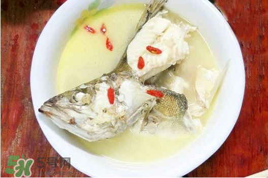 鯉魚湯怎么做好吃？鯉魚湯里面可以放什么？