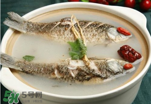 鯽魚湯下奶嗎？鯽魚湯的功效與作用