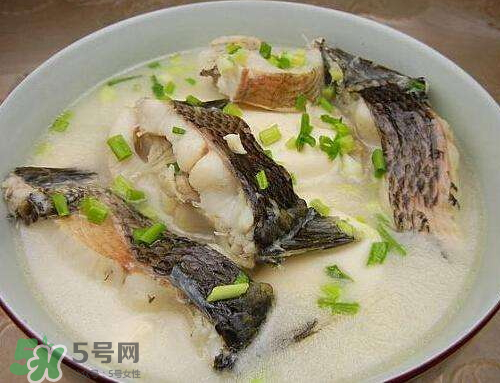 黑魚湯對(duì)傷口有好處嗎？黑魚湯的做法術(shù)后恢復(fù)