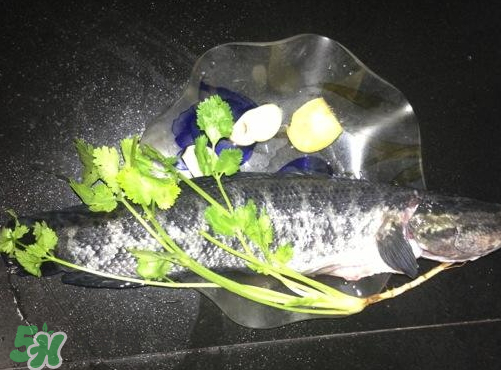 黑魚湯對(duì)傷口有好處嗎？黑魚湯的做法術(shù)后恢復(fù)