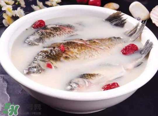 鯽魚湯里可以放什么菜最好？鯽魚燉湯放什么菜？
