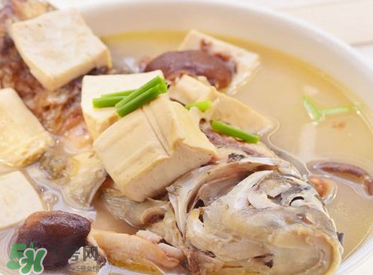 鯽魚湯可以放香菇嗎？香菇鯽魚湯的做法
