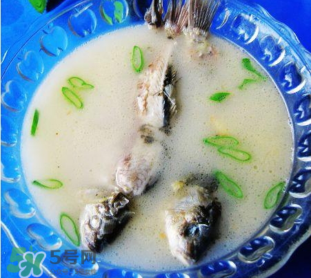 鯽魚湯可以放牛奶嗎？牛奶鯽魚湯的做法