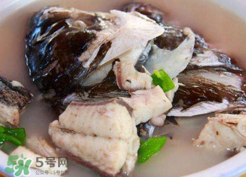 鰱魚湯怎么熬湯？鰱魚湯的功效與作用
