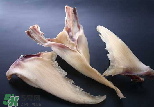 干魚翅怎么保存？魚翅可以放多久？
