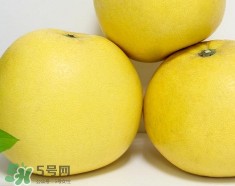 蜜柚是哪個季節(jié)的水果？蜜柚和沙田柚的區(qū)別是什么？