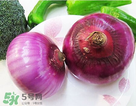 洋蔥狗狗能吃嗎？狗狗吃了洋蔥怎么辦？