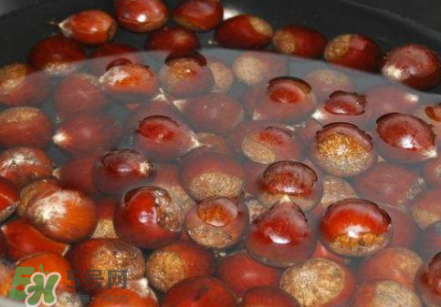 板栗用冷水還是熱水煮？煮板栗用冷水還是熱水？