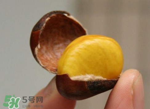 板栗用冷水還是熱水煮？煮板栗用冷水還是熱水？