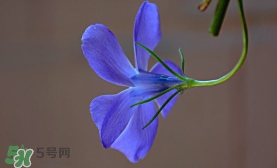 見封滾是什么意思？