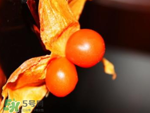 紅姑娘皮泡水治咽炎嗎？紅姑娘皮泡水的副作用