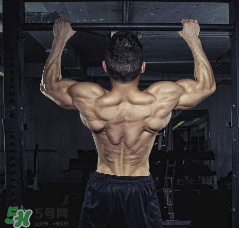 引體向上背部怎么發(fā)力？引體向上發(fā)力技巧