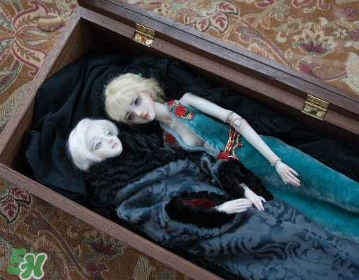 Enchanted Doll多少錢？Enchanted Doll哪里買？