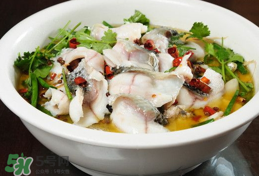 水煮魚(yú)可以放什么蔬菜？水煮魚(yú)可以放香菇嗎？