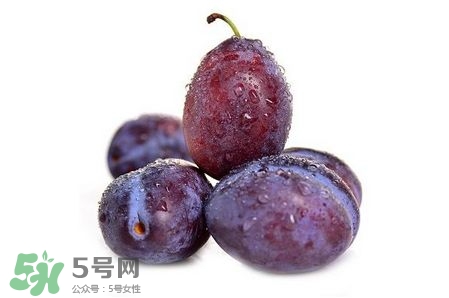 西梅可以放冰箱嗎？西梅放冰箱冷藏還是冷凍？