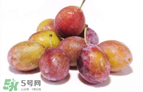 西梅可以放冰箱嗎？西梅放冰箱冷藏還是冷凍？