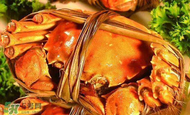 螃蟹吃什么食物長(zhǎng)得大？十月份吃什么螃蟹？
