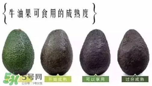 牛油果是什么味道？牛油果是甜的嗎？