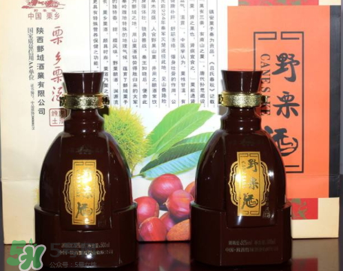 泡板栗酒用什么酒最好？板栗用什么酒泡最好？