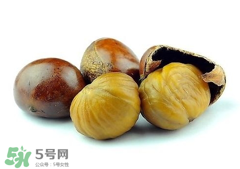 板栗酒每次喝多少合適？板栗泡酒一次喝多少？