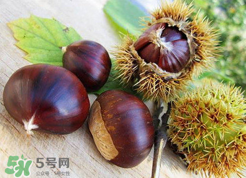 板栗泡酒真的能壯陽嗎？板栗泡酒有什么功效？