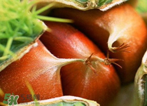 板栗泡酒要去皮嗎？板栗泡酒不去皮可以嗎？