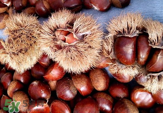 板栗泡酒要去皮嗎？板栗泡酒不去皮可以嗎？