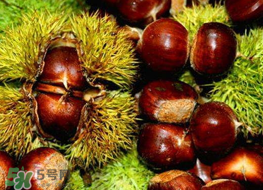 板栗泡酒要去皮嗎？板栗泡酒不去皮可以嗎？