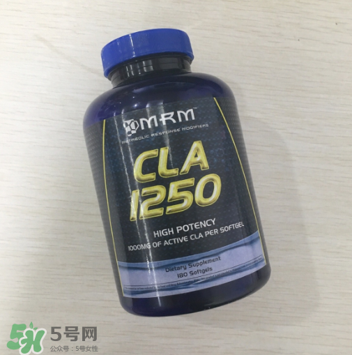 肌酸能和蛋白粉一起吃嗎？肌酸能長期服用嗎？