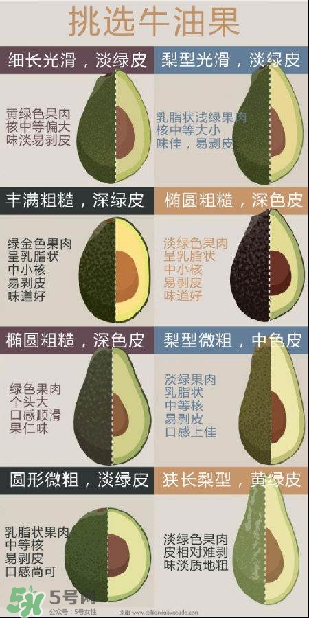 牛油果怎么挑選？牛油果多少錢一斤？