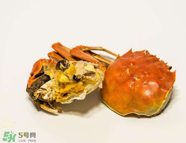 哪種螃蟹有蟹黃？哪種螃蟹蟹黃最多？