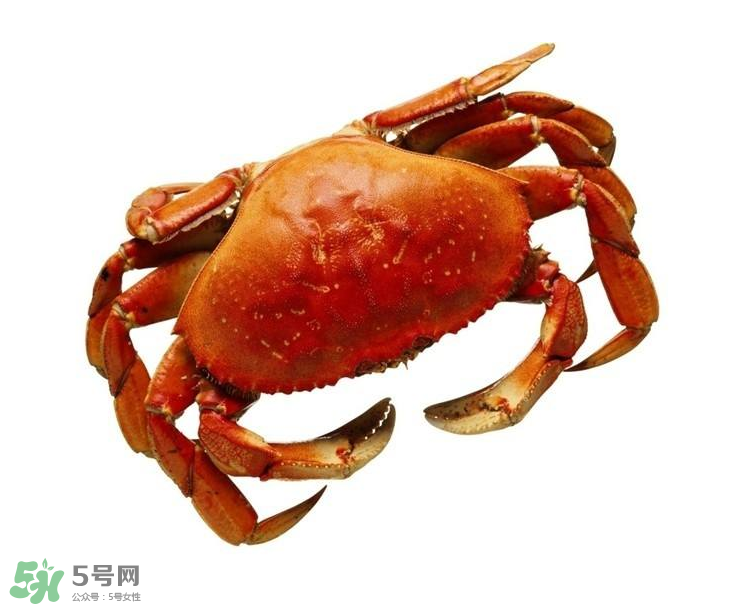 哪種螃蟹不能吃？什么樣的螃蟹不能吃？