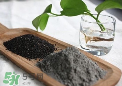核桃粉寶寶可以吃嗎？寶寶幾個(gè)月可以吃？