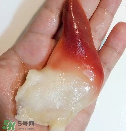 北極貝多少錢一斤？北極貝長什么樣子