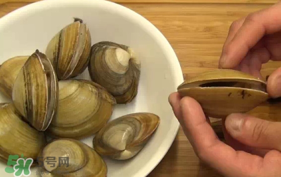 北極貝多少錢一斤？北極貝長什么樣子