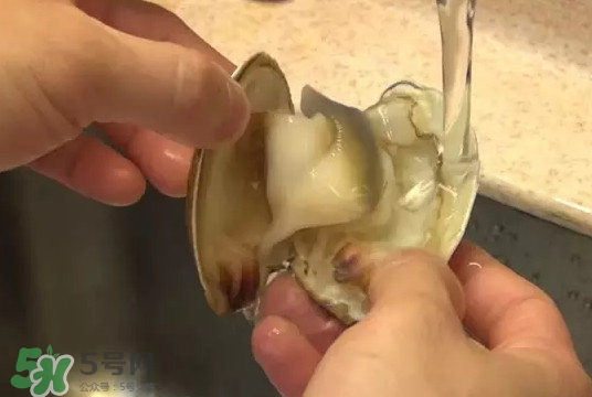 北極貝多少錢一斤？北極貝長什么樣子