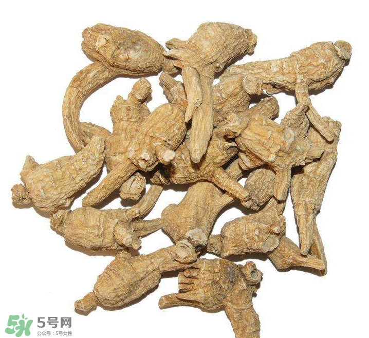 花旗參和西洋參的區(qū)別 花旗參好還是西洋參好？