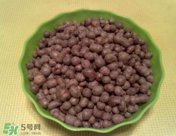 山藥豆是什么東西？山藥豆是長(zhǎng)在土里嗎？