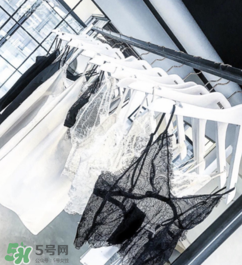 anine bing是什么牌子？anine bing是什么檔次？