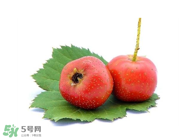 山楂和菊花能一起泡水喝嗎？