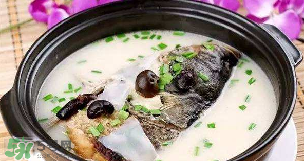 怎樣吃魚最有營養(yǎng)？喝魚湯會(huì)致高脂血癥嗎？
