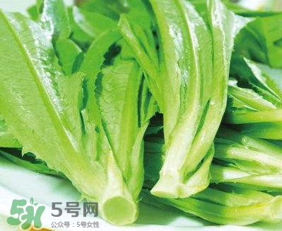 萵苣葉能吃嗎？萵苣葉和油麥菜有什么區(qū)別