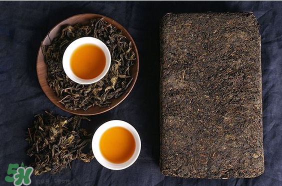 茯茶是熱性還是涼性？茯茶是不是放越久越好？