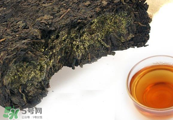 茯茶是熱性還是涼性？茯茶是不是放越久越好？