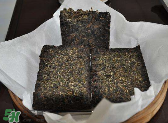 茯茶是熱性還是涼性？茯茶是不是放越久越好？