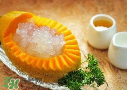 雪蛤膏是啥？雪蛤膏的功效與作用