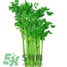 醋泡洋蔥能降血壓嗎？哪些食物可以降血壓？