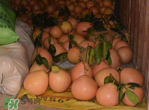 三紅蜜柚什么時(shí)候種植？三紅蜜柚什么時(shí)候成熟