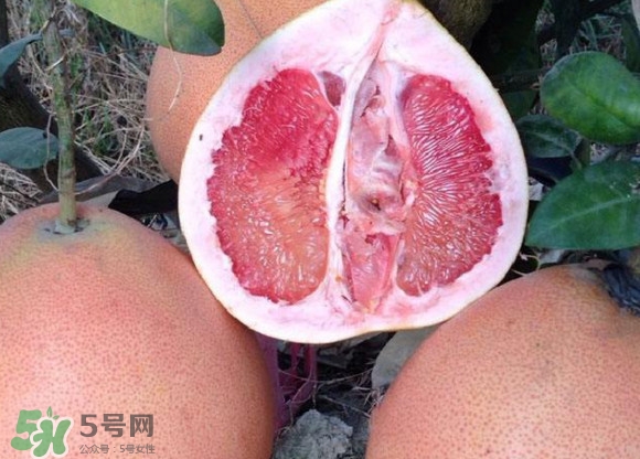 三紅蜜柚口味怎么樣？三紅蜜柚苗多少錢(qián)一棵